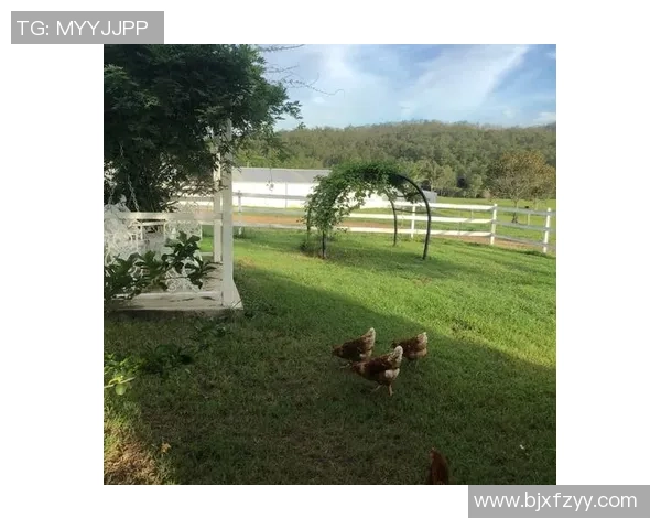 何思雨：在纷繁世界中寻找内心宁静与真实自我的旅程