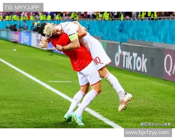 北爱尔兰与瑞士精彩对决视频回顾及赛后分析