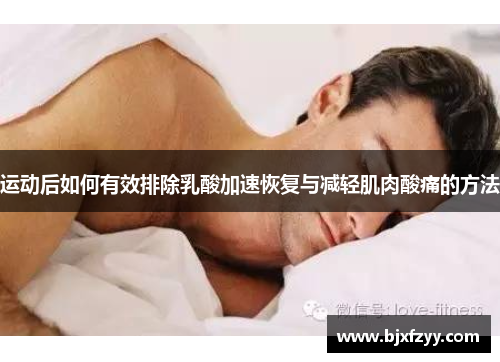 运动后如何有效排除乳酸加速恢复与减轻肌肉酸痛的方法