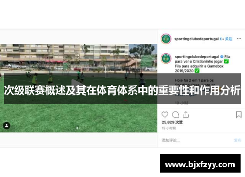 次级联赛概述及其在体育体系中的重要性和作用分析
