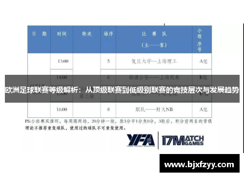 欧洲足球联赛等级解析：从顶级联赛到低级别联赛的竞技层次与发展趋势