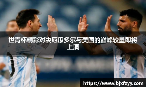 BB贝博艾弗森注册