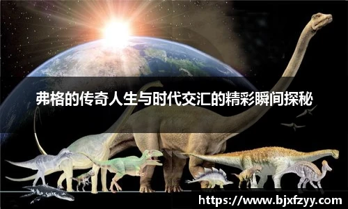 弗格的传奇人生与时代交汇的精彩瞬间探秘